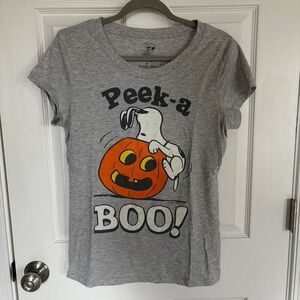 Peanuts Snoopy Halloween Peek-A-Boo Pumpkin Tee Gray XL
